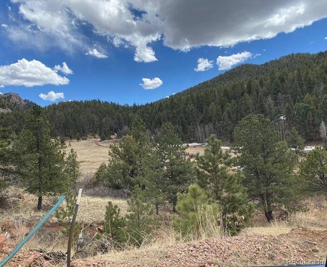 4023 Teller 1 RD, Cripple Creek, CO 80813