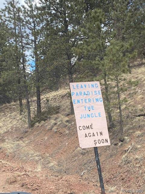 4023 Teller 1 RD, Cripple Creek, CO 80813