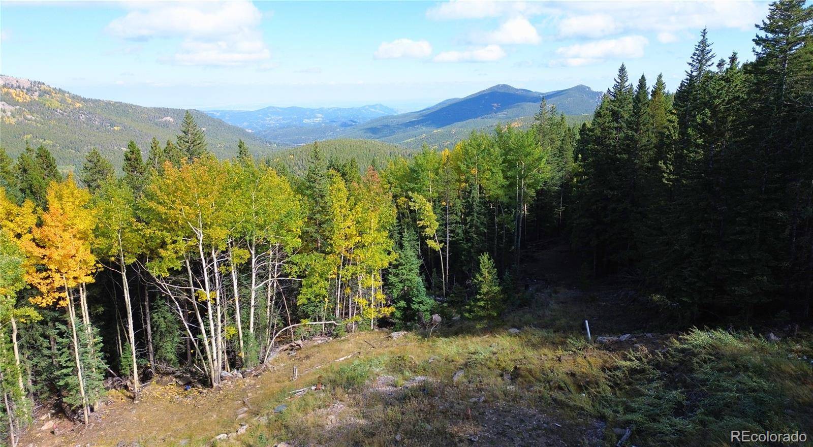 429 Sawmill LN, Idaho Springs, CO 80452