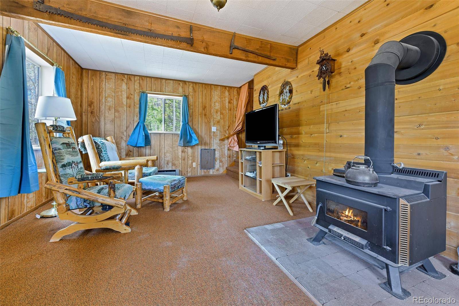 454 Eagle Rock RD, Florissant, CO 80816
