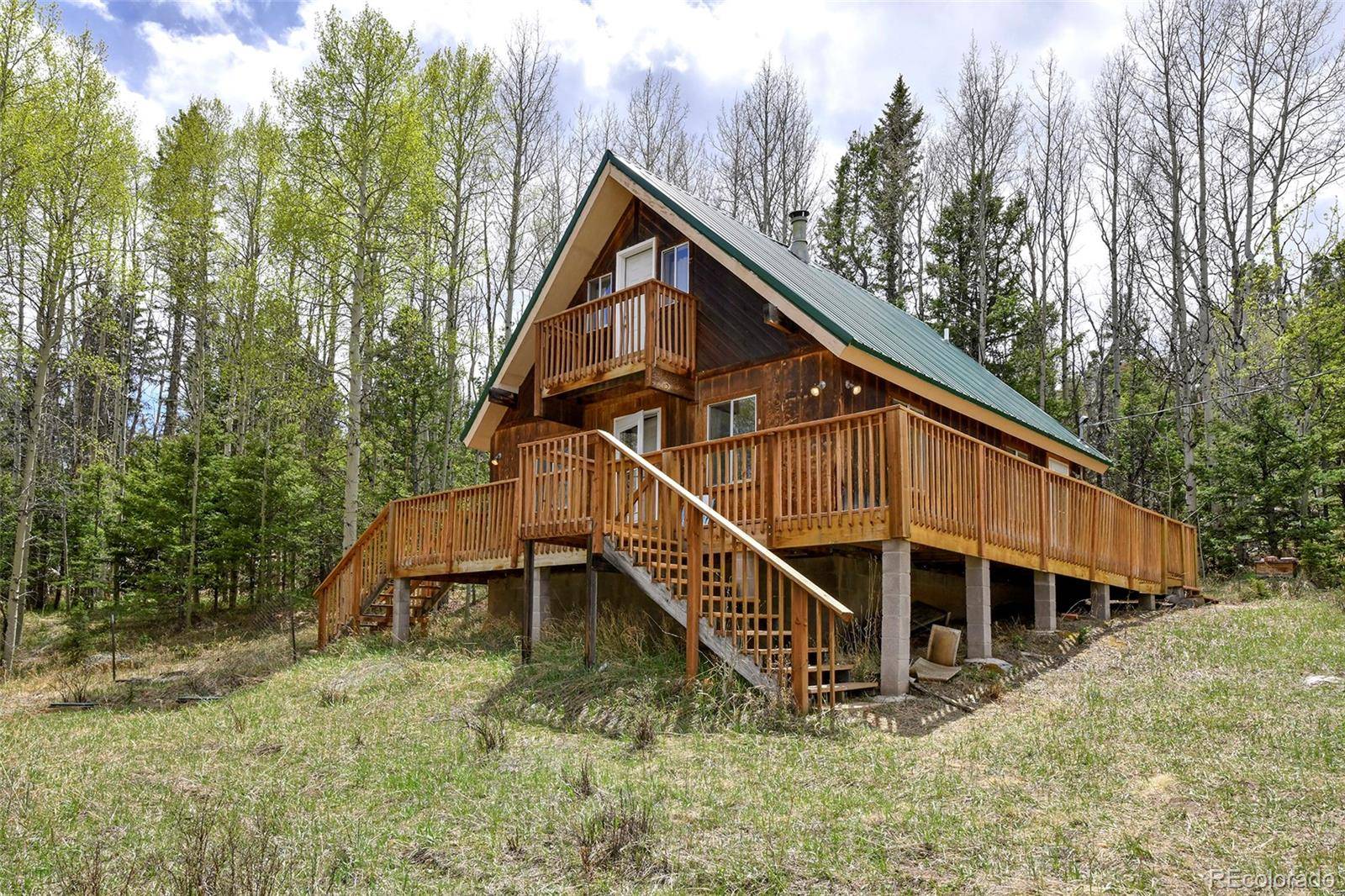 454 Eagle Rock RD, Florissant, CO 80816
