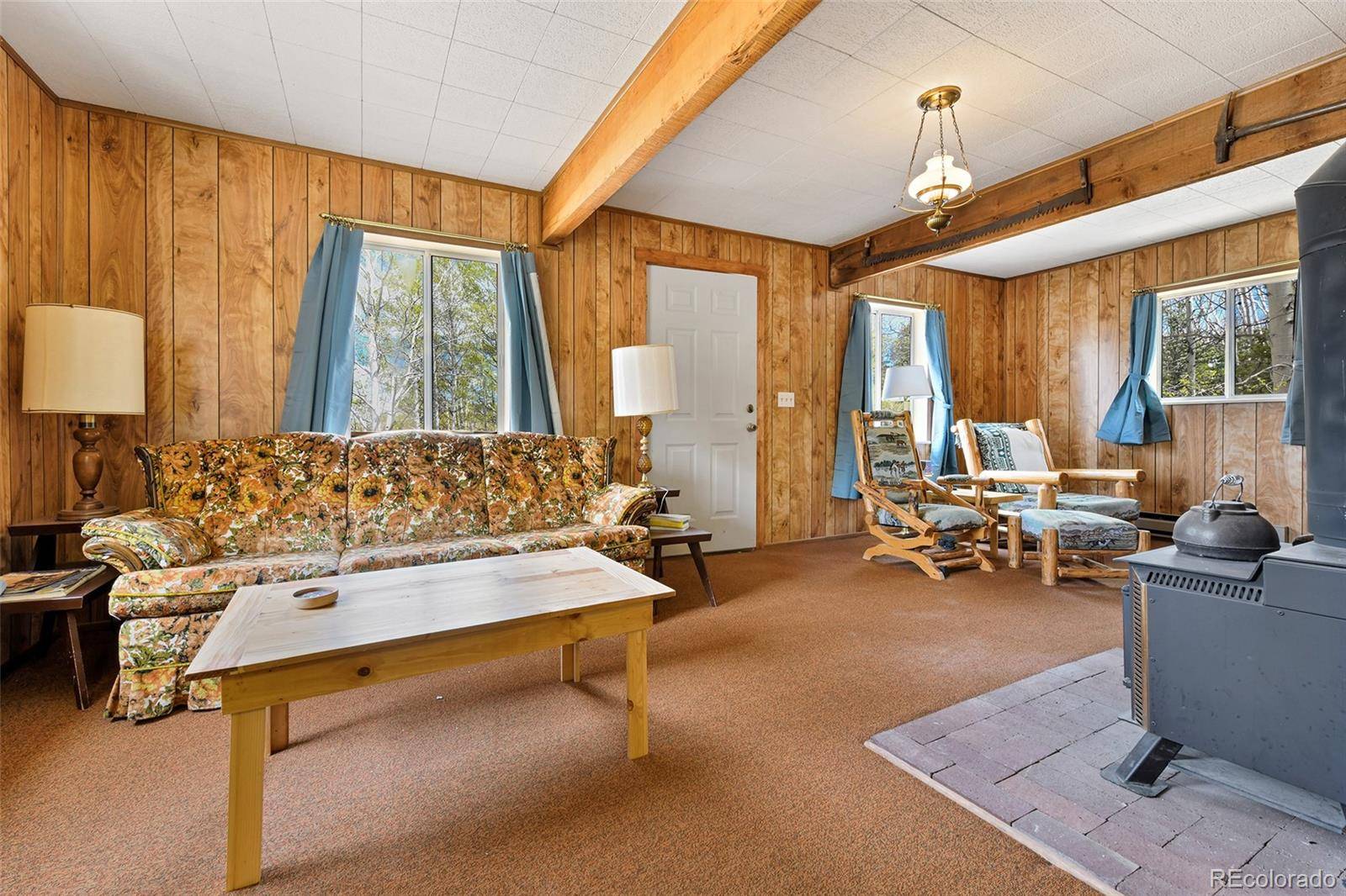 454 Eagle Rock RD, Florissant, CO 80816