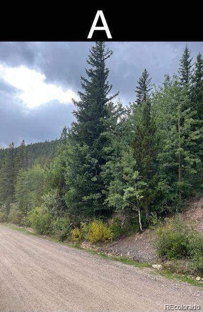 000 Nebraska DR, Idaho Springs, CO 80452