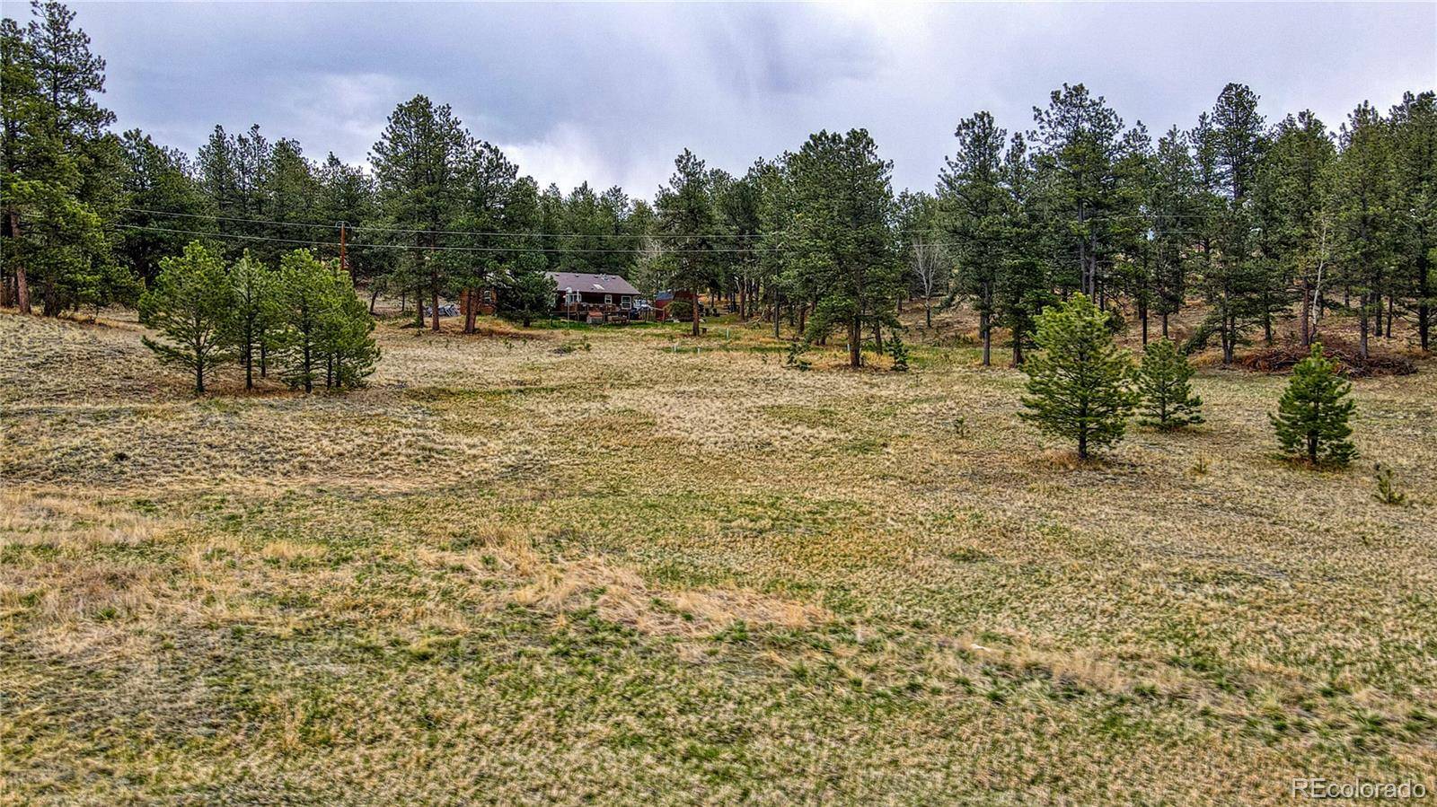 188 High Pasture RD, Florissant, CO 80816