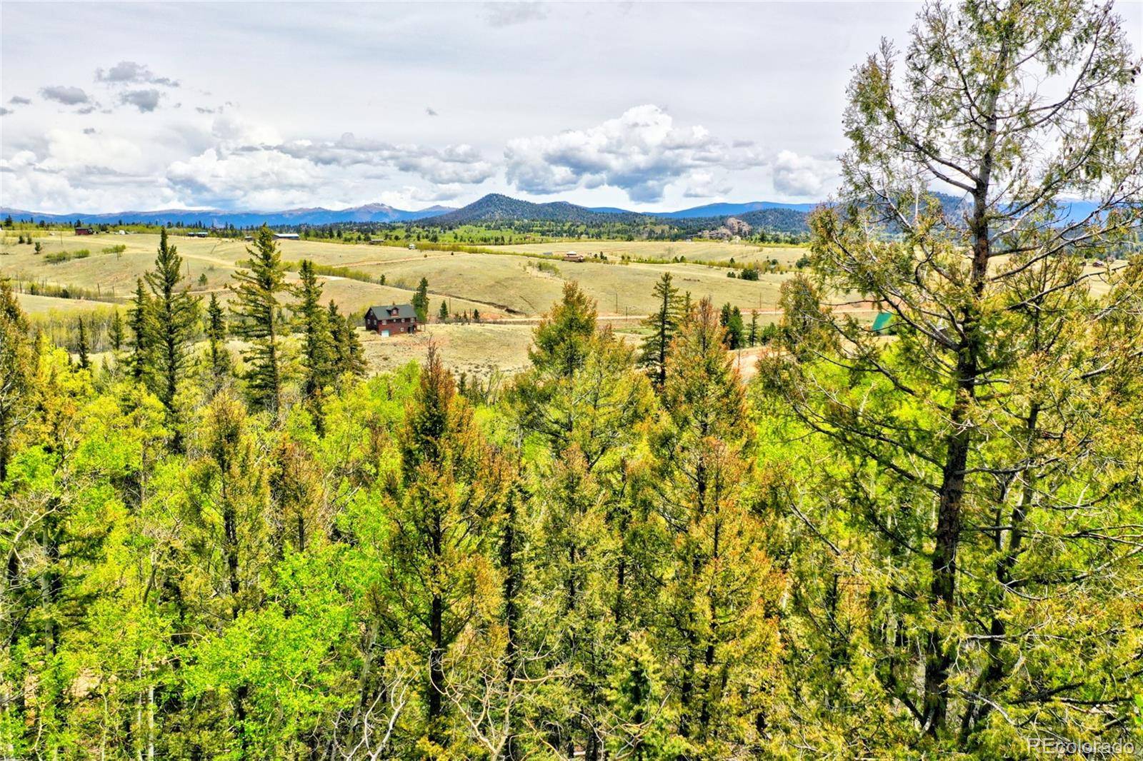 28 Old Squaw RD, Jefferson, CO 80456