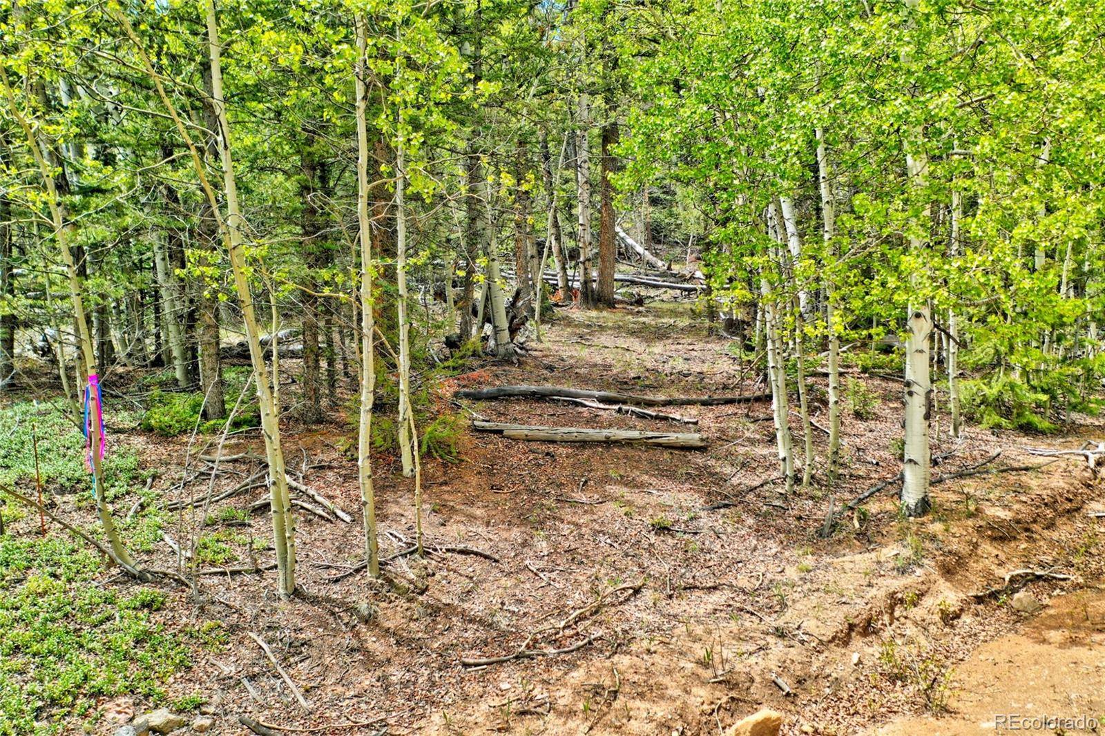 28 Old Squaw RD, Jefferson, CO 80456