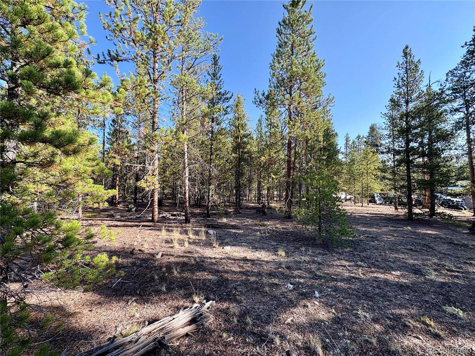 776 Birch DR, Twin Lakes, CO 80461