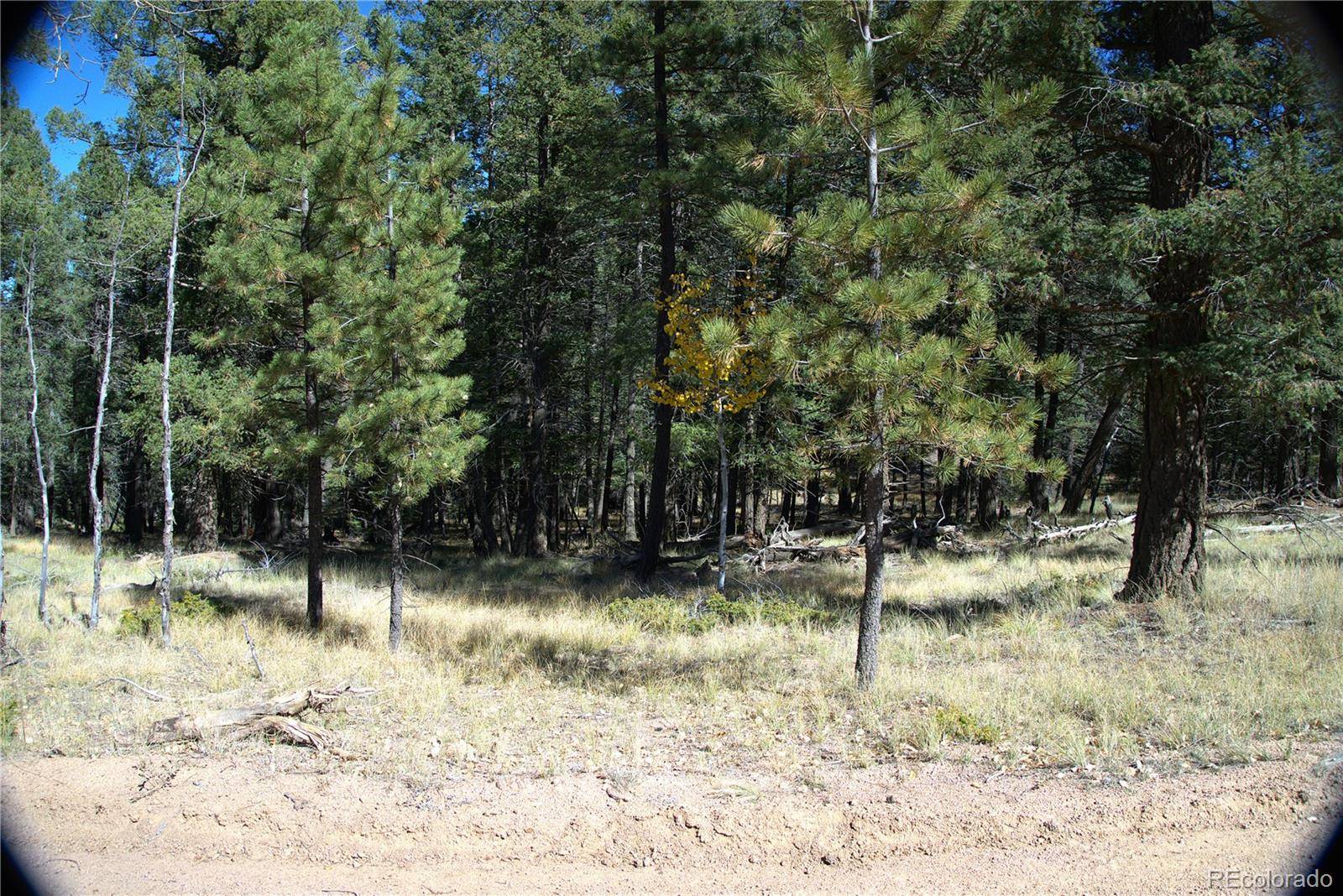 252 Southpark RD, Florissant, CO 80816