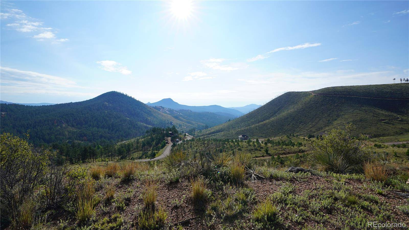 15831 S Sioux RD, Pine, CO 80470