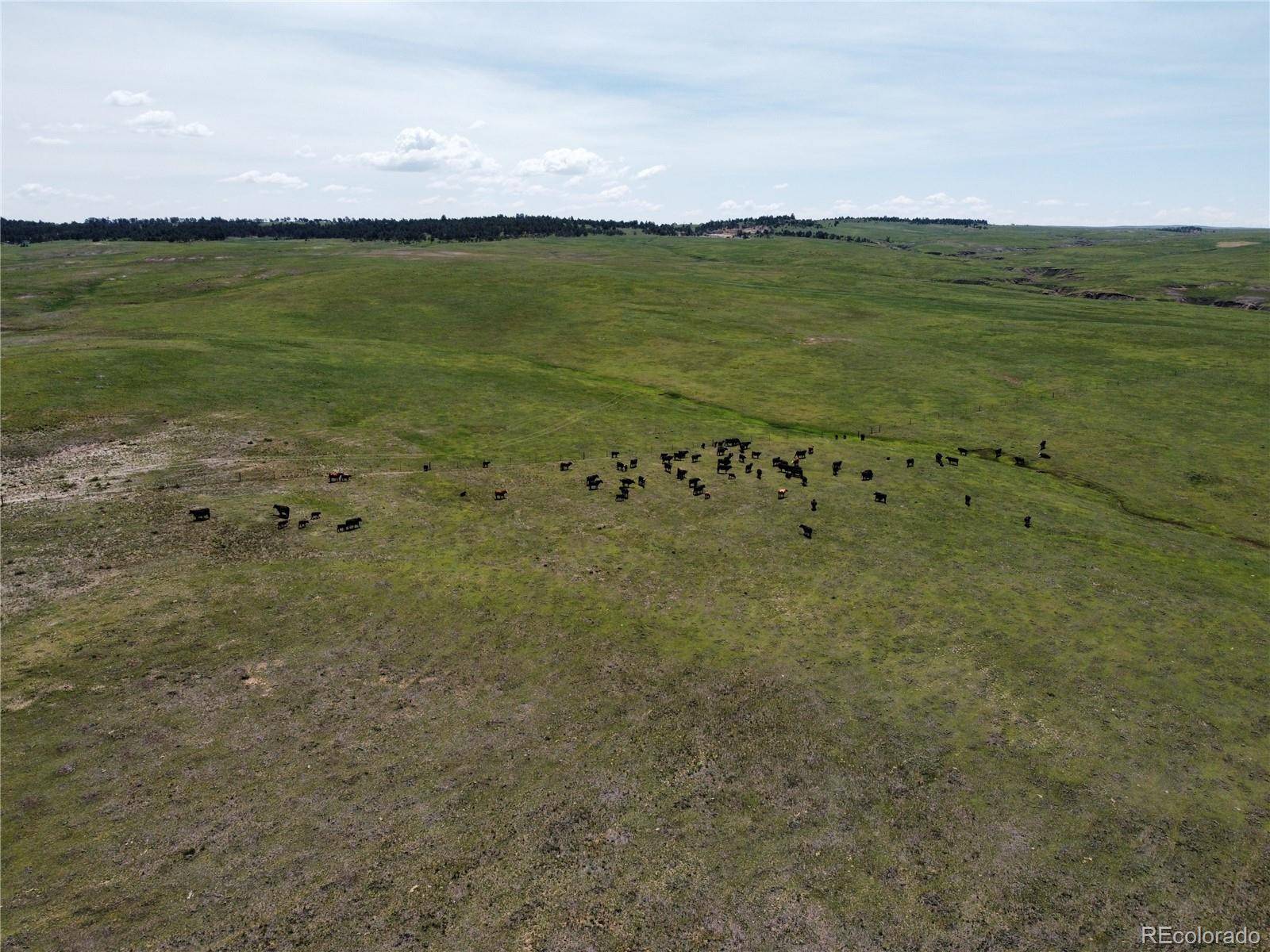 Lot 8 County Road 77, Calhan, CO 80808
