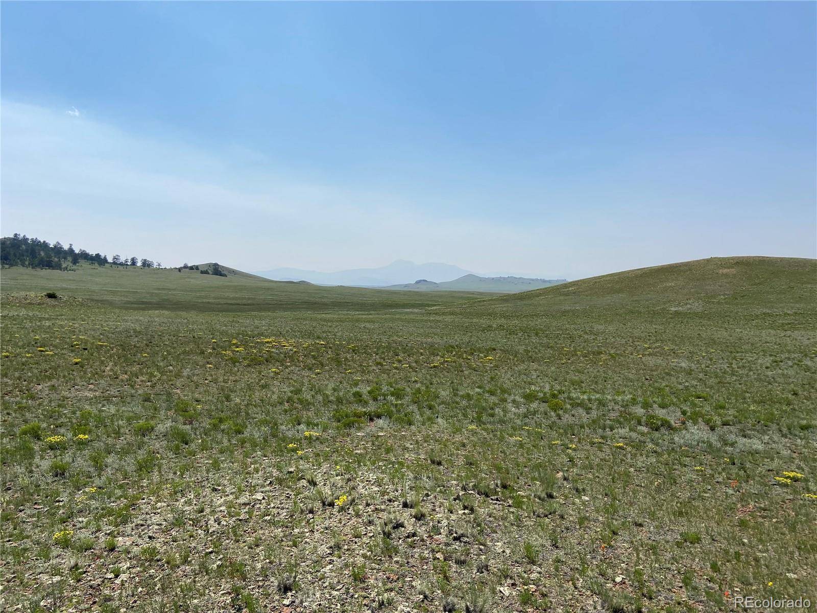 1166 Chicha RD, Hartsel, CO 80449