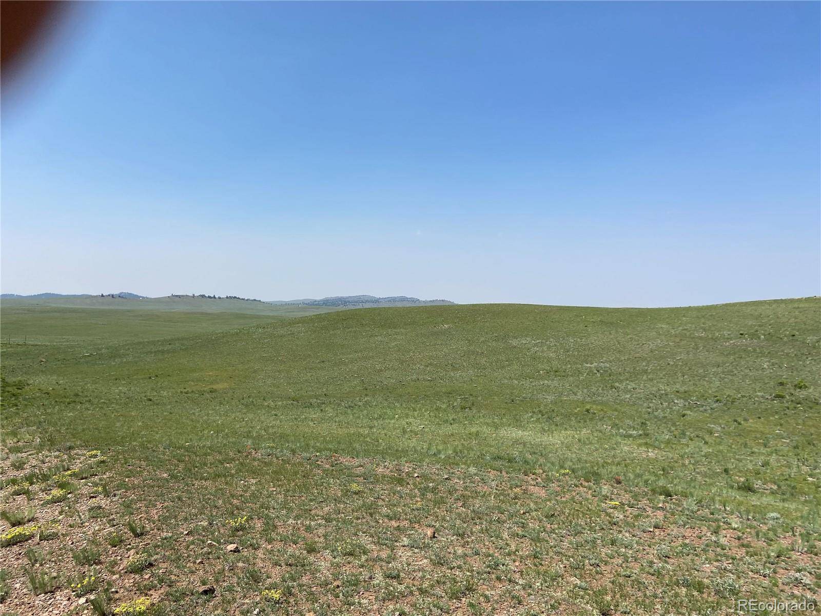 1166 Chicha RD, Hartsel, CO 80449