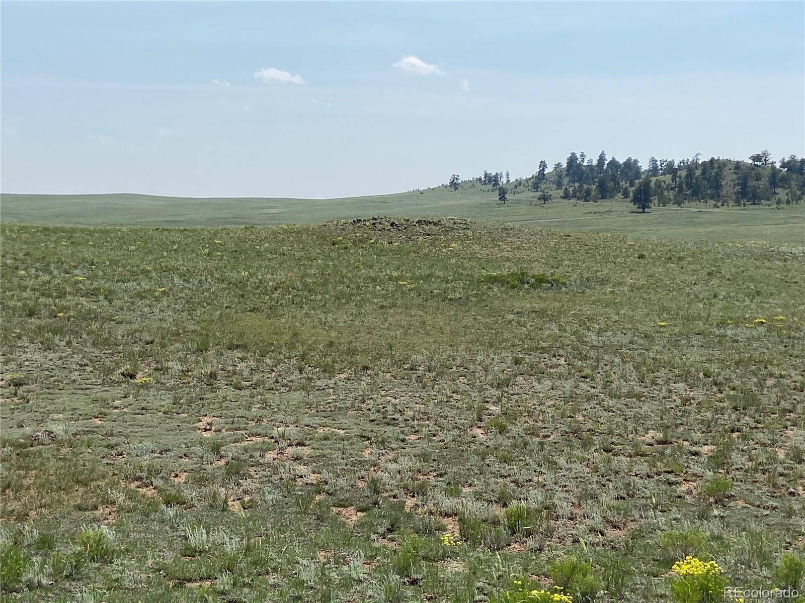 1166 Chicha RD, Hartsel, CO 80449