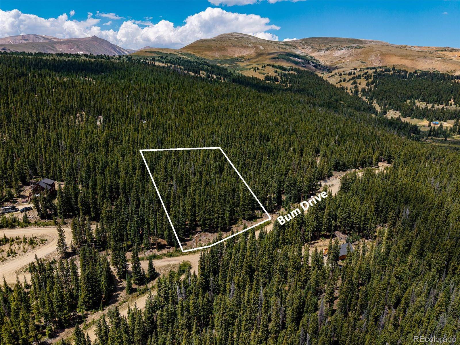 345 Bum DR, Fairplay, CO 80440