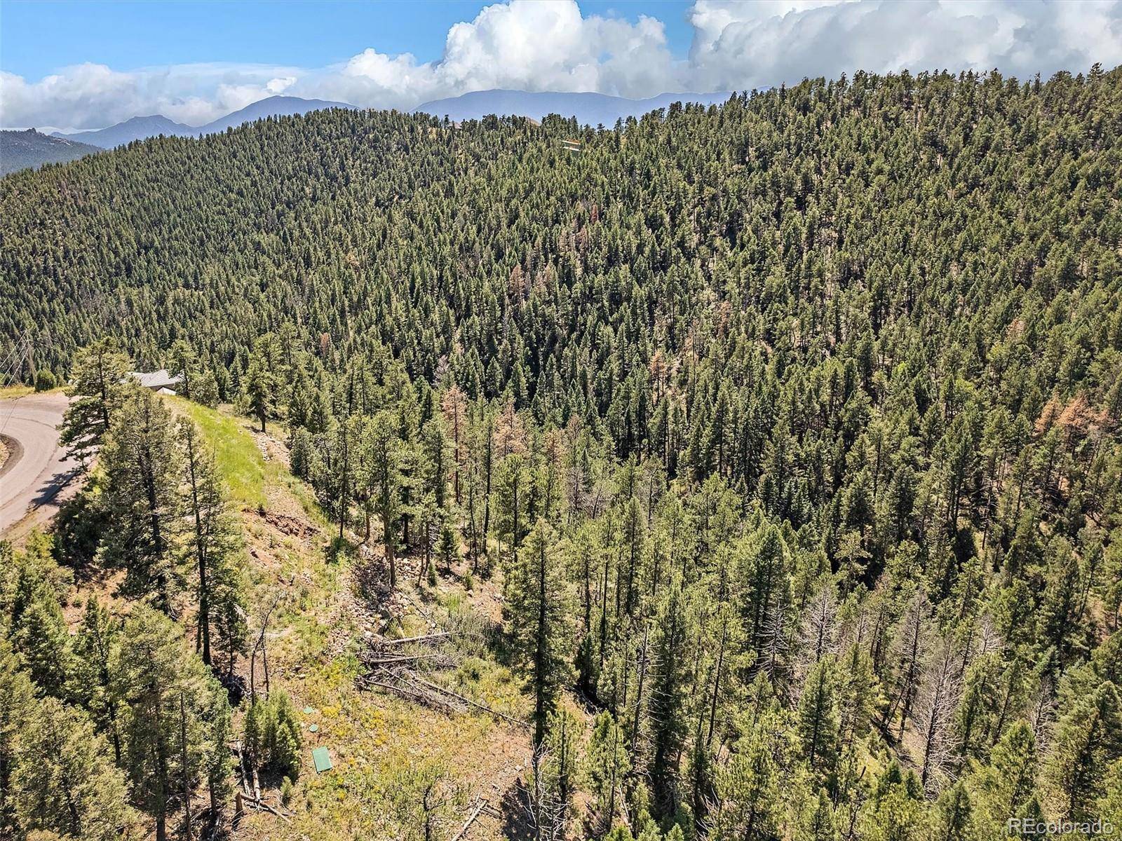 13809 Elsie RD, Conifer, CO 80433