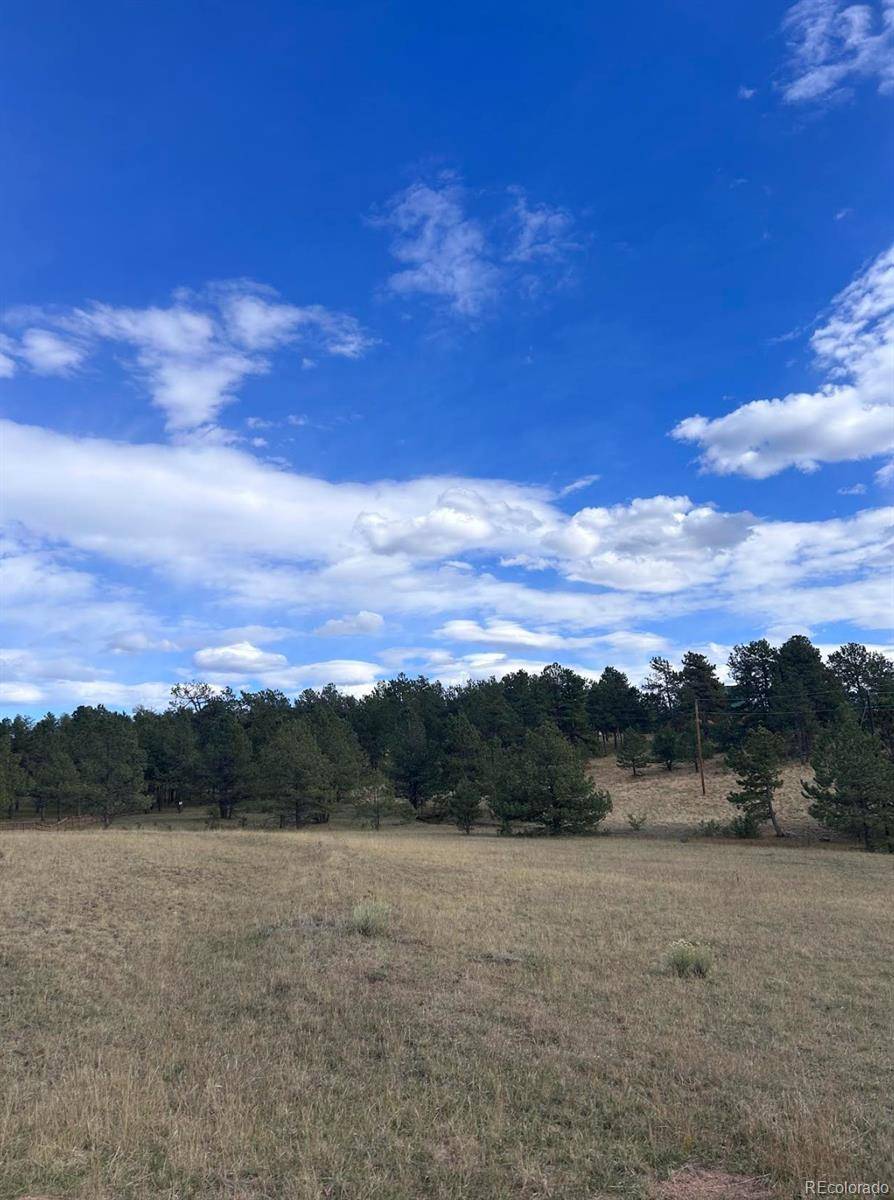 382 Arrowhead DR, Florissant, CO 80816