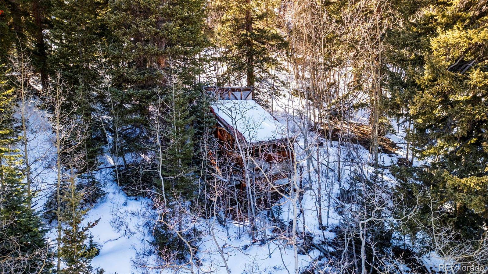 944 Roberts RD, Alma, CO 80420