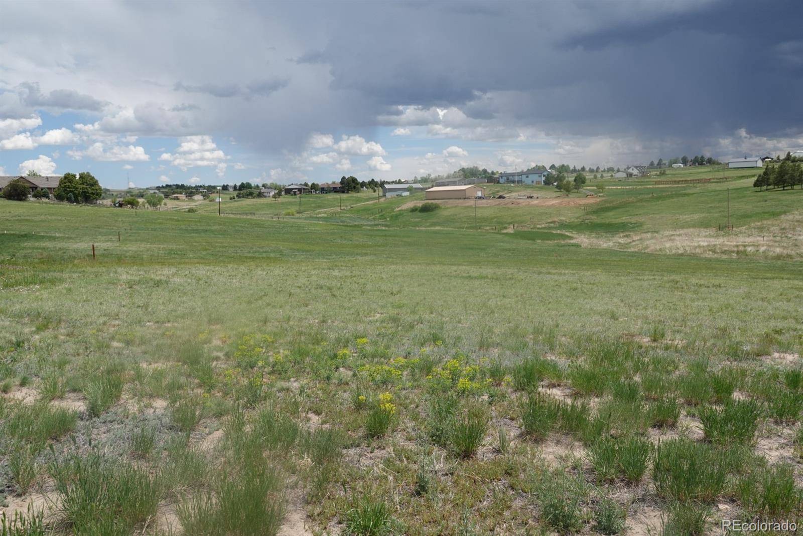 3131 Antelope Ridge TRL, Parker, CO 80138