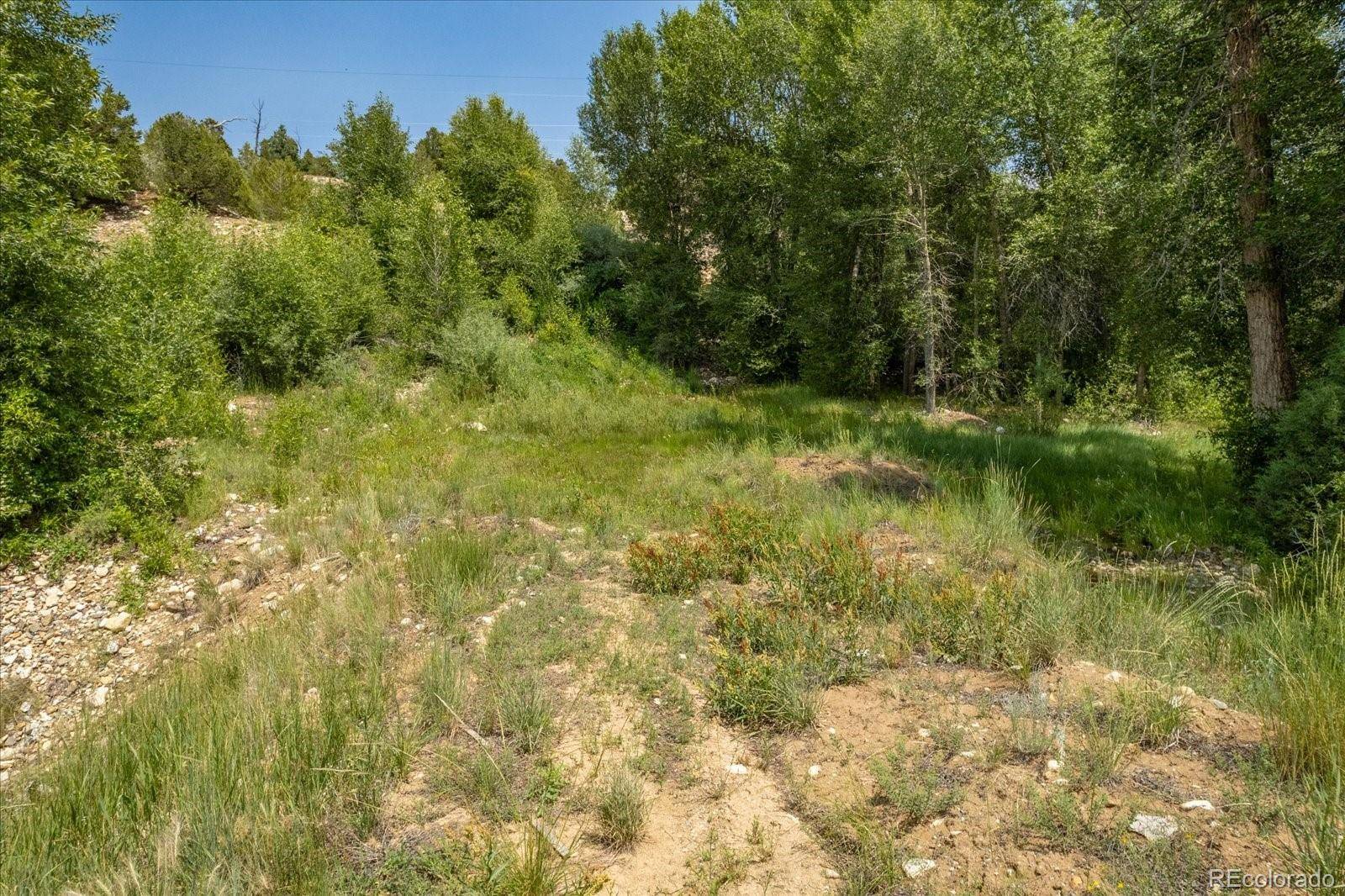 7920 Cozart LN, Salida, CO 81201