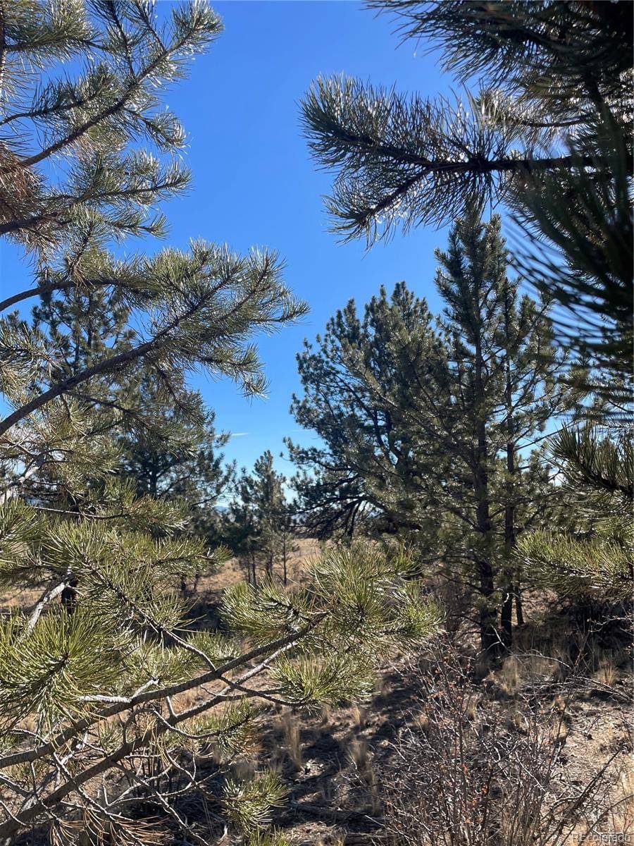 00 Oak ST, Hartsel, CO 80449