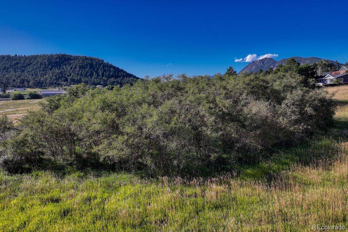 15989 S Perry Park RD, Larkspur, CO 80118