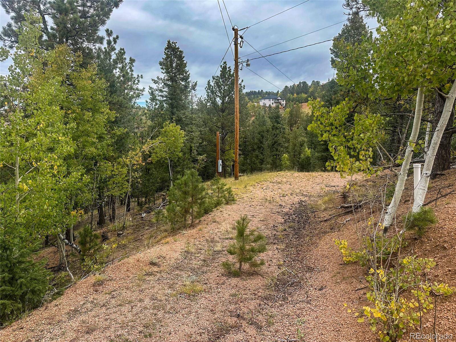 599 Dandy Jim DR, Cripple Creek, CO 80813