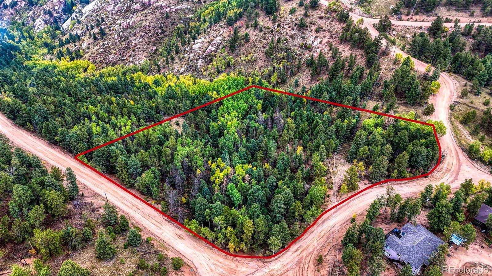 599 Dandy Jim DR, Cripple Creek, CO 80813
