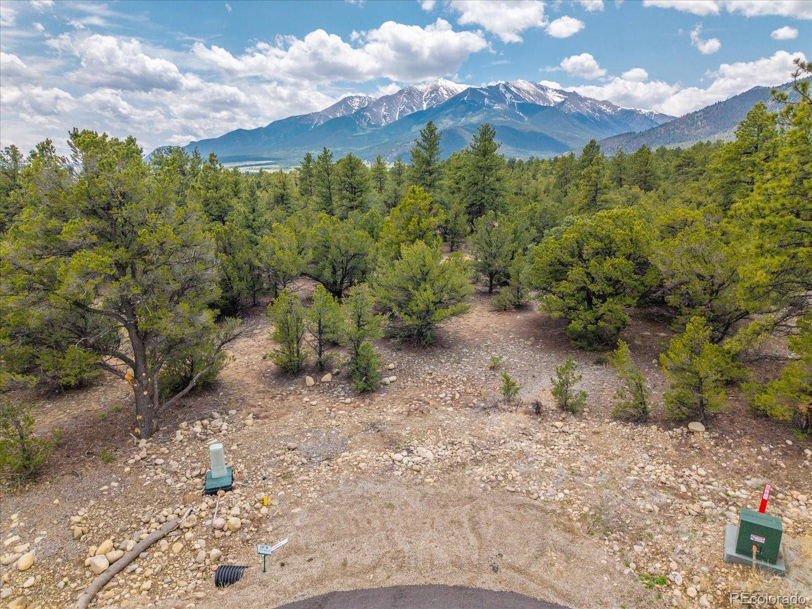 29269 Timber RDG, Buena Vista, CO 81211