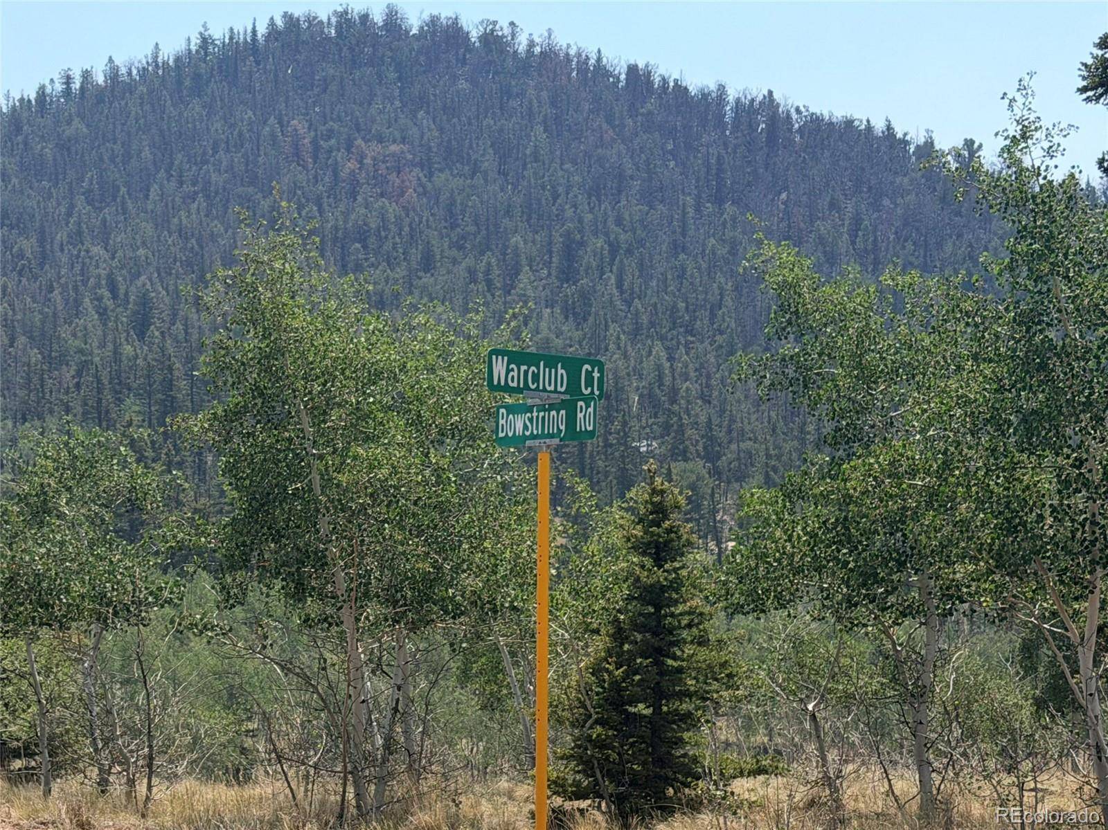 234 Warclub CT, Jefferson, CO 80456