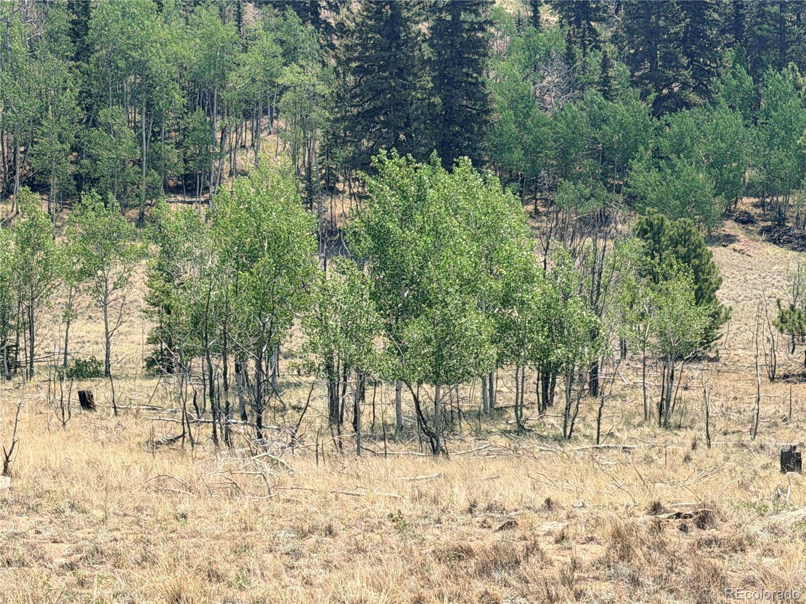 234 Warclub CT, Jefferson, CO 80456