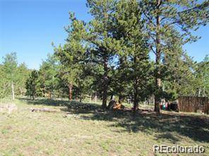 257 Bolster DR, Hartsel, CO 80449