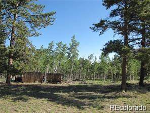 257 Bolster DR, Hartsel, CO 80449