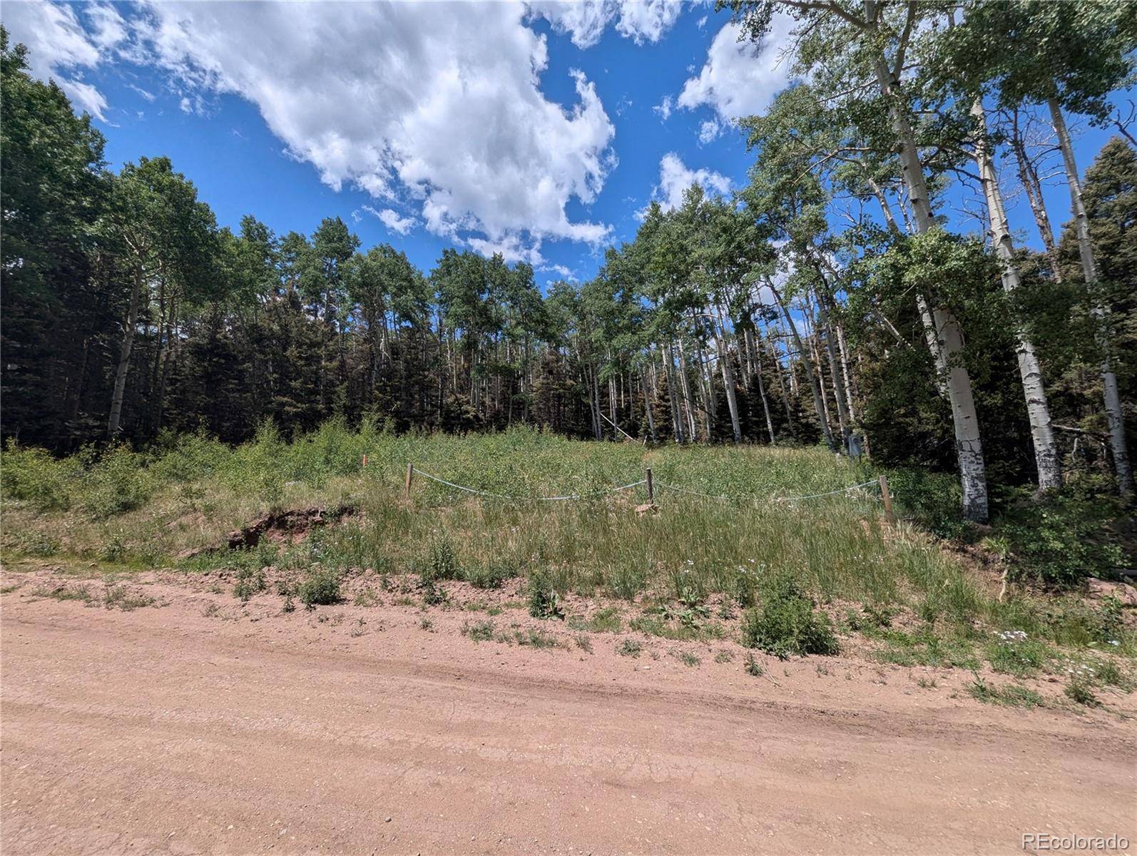 3070 Henderson DR, Fort Garland, CO 81133