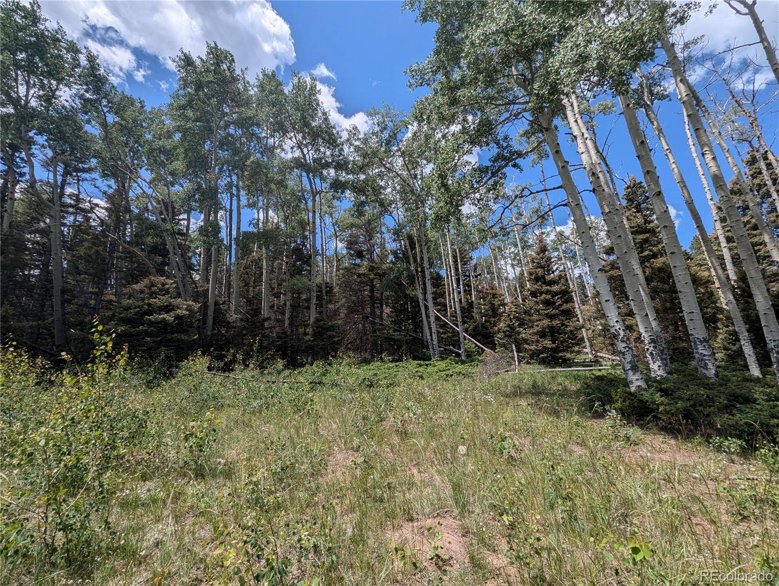 3070 Henderson DR, Fort Garland, CO 81133