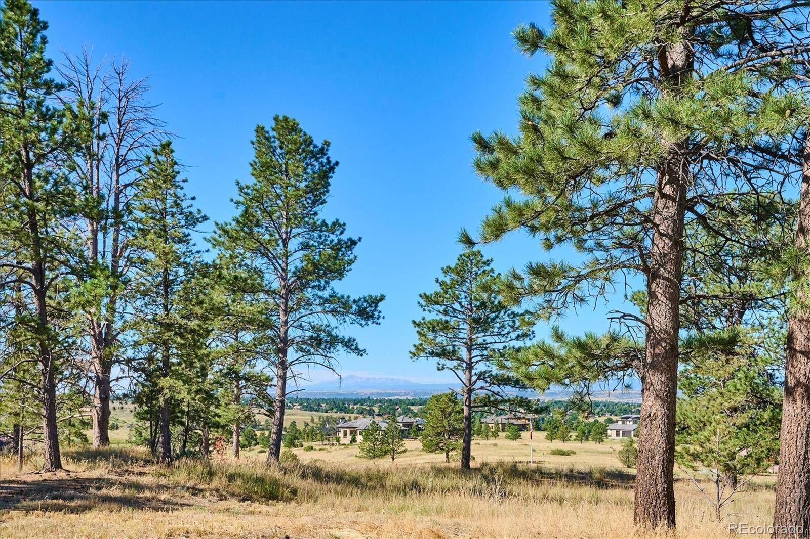 8830 Witez CT, Parker, CO 80134