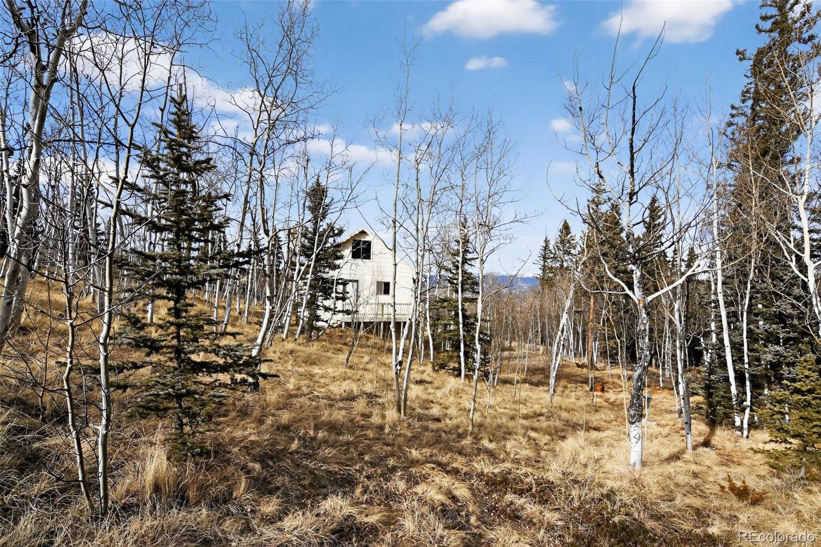 144 Outlaw CT, Jefferson, CO 80456