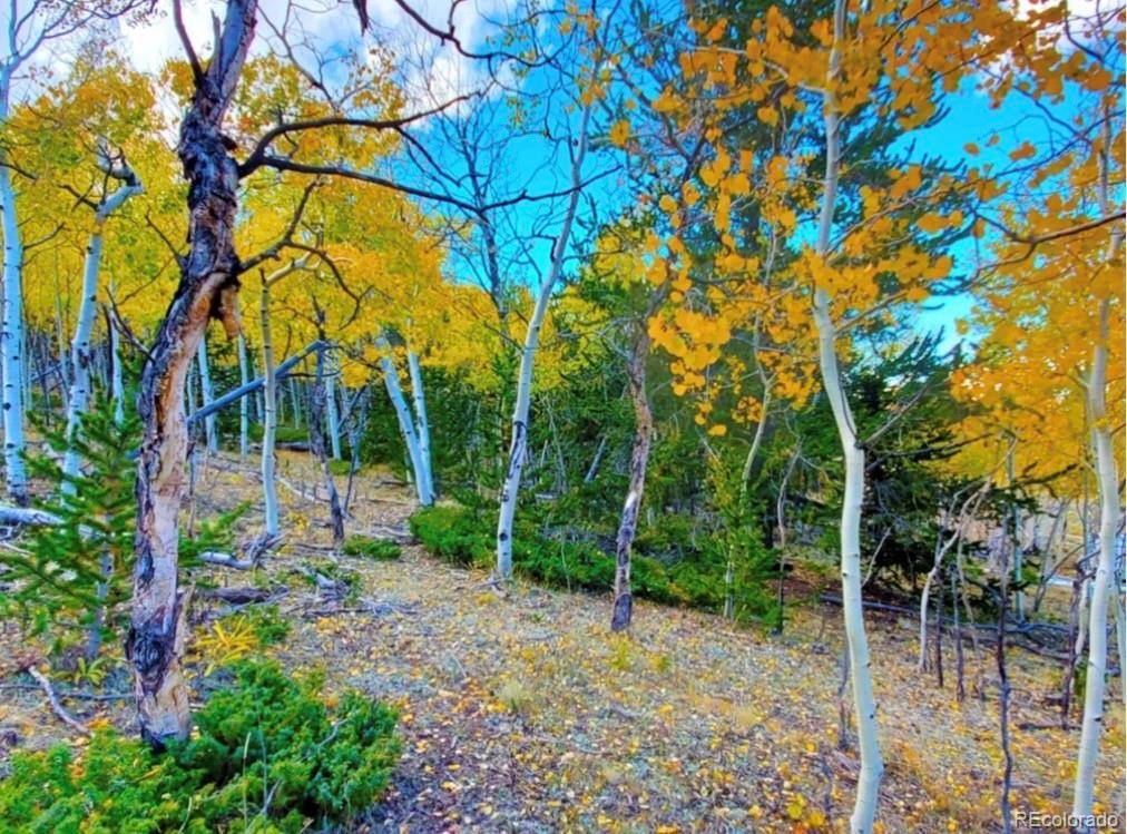 2000 Hard Hickory TRL, Guffey, CO 80820