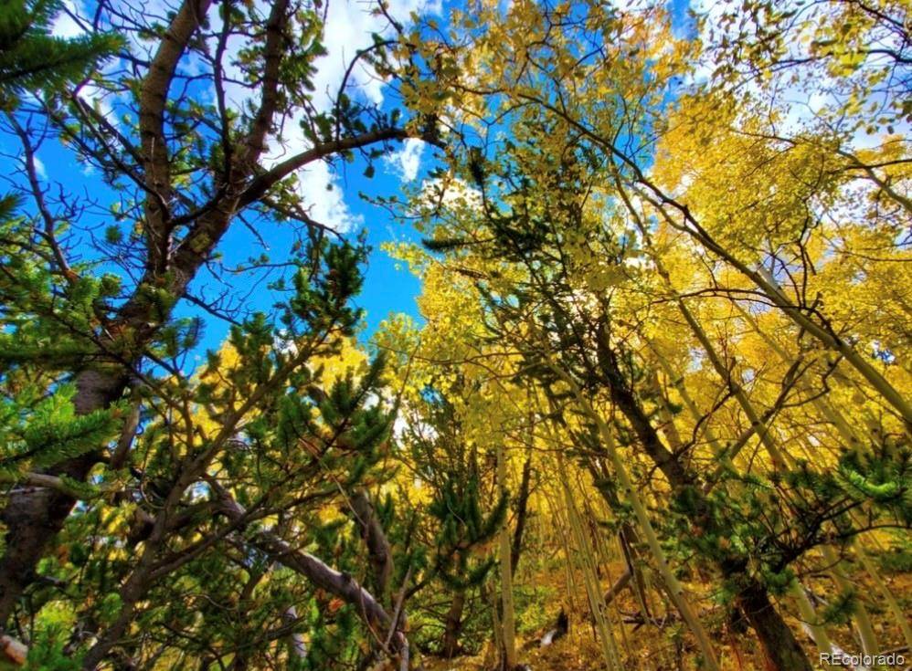 2000 Hard Hickory TRL, Guffey, CO 80820