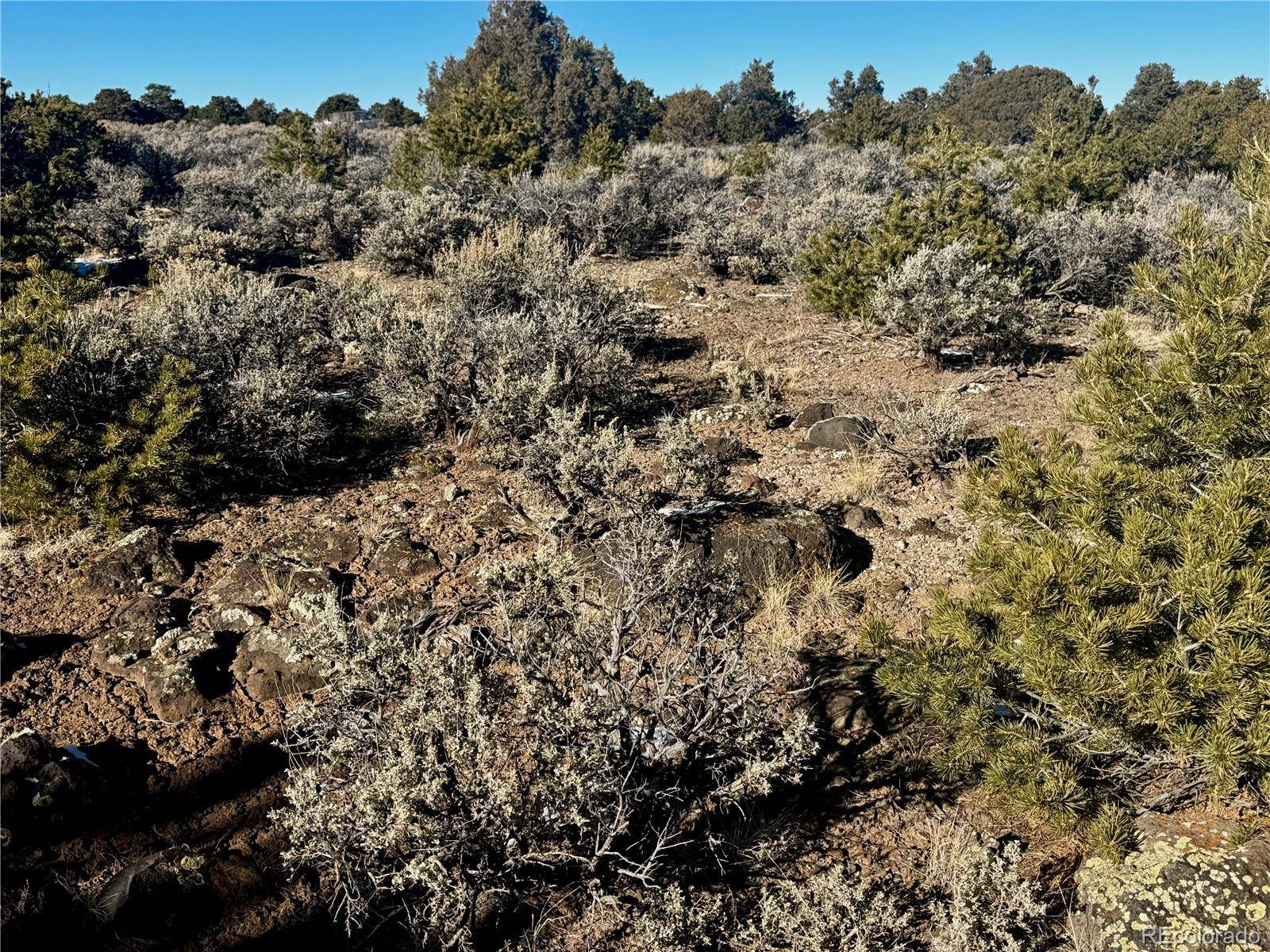Lot 17 Largo Vista, San Luis, CO 81152