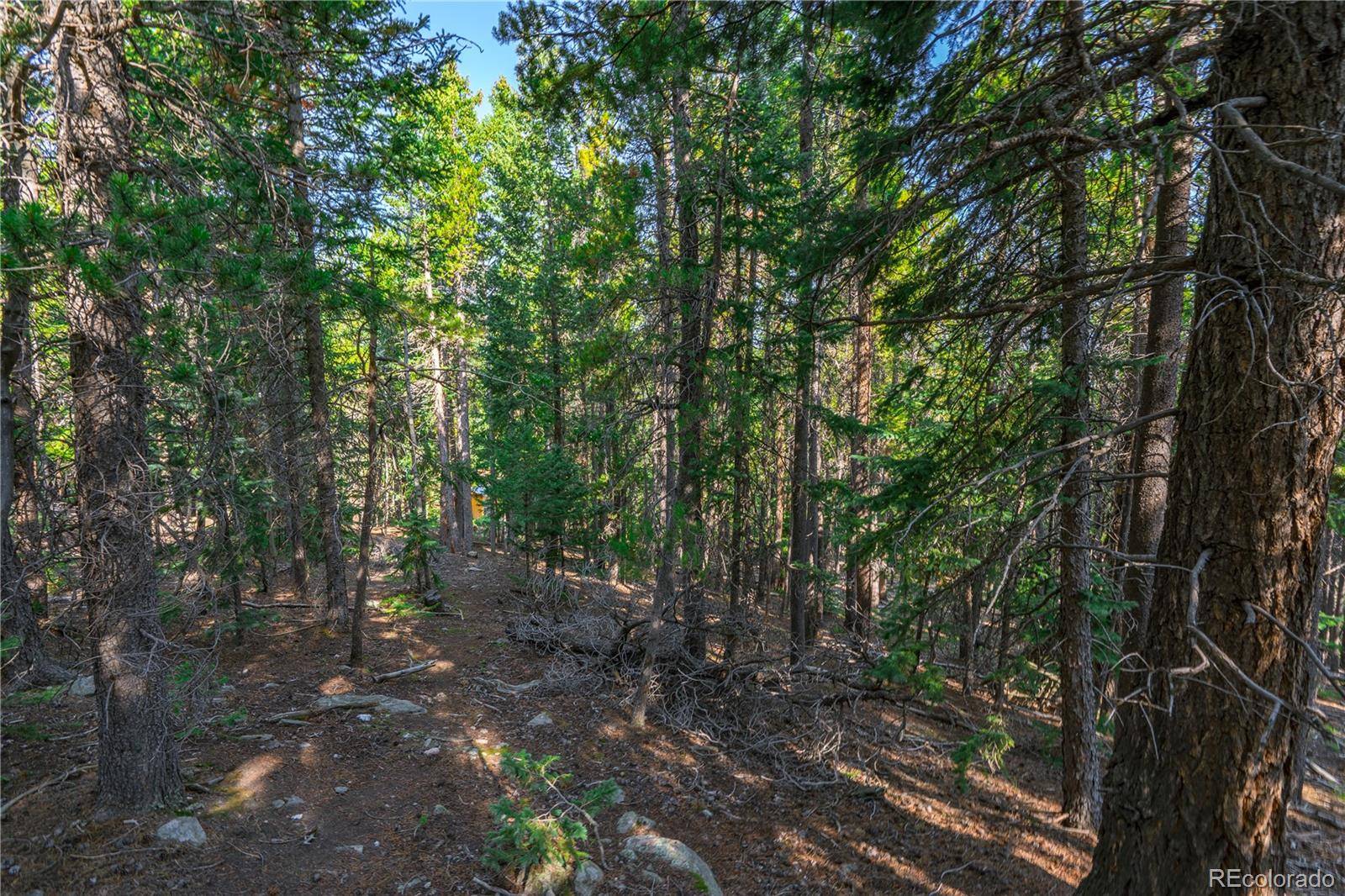 000 Aspenwood LN, Evergreen, CO 80439