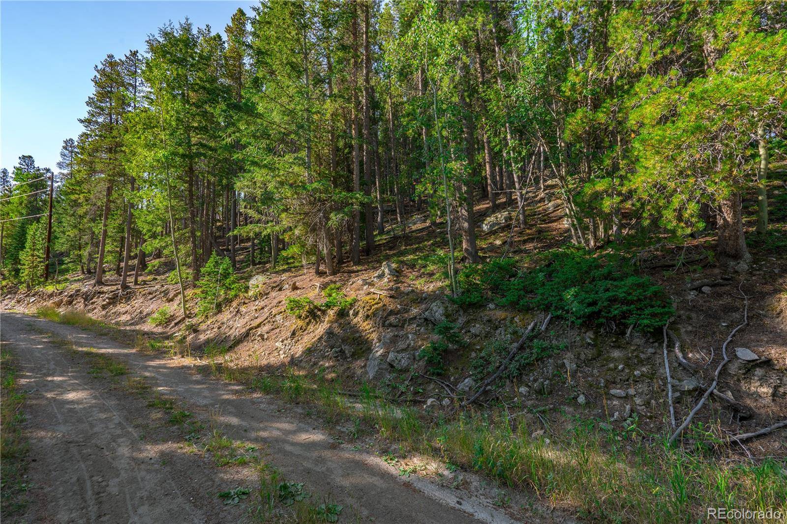 000 Aspenwood LN, Evergreen, CO 80439