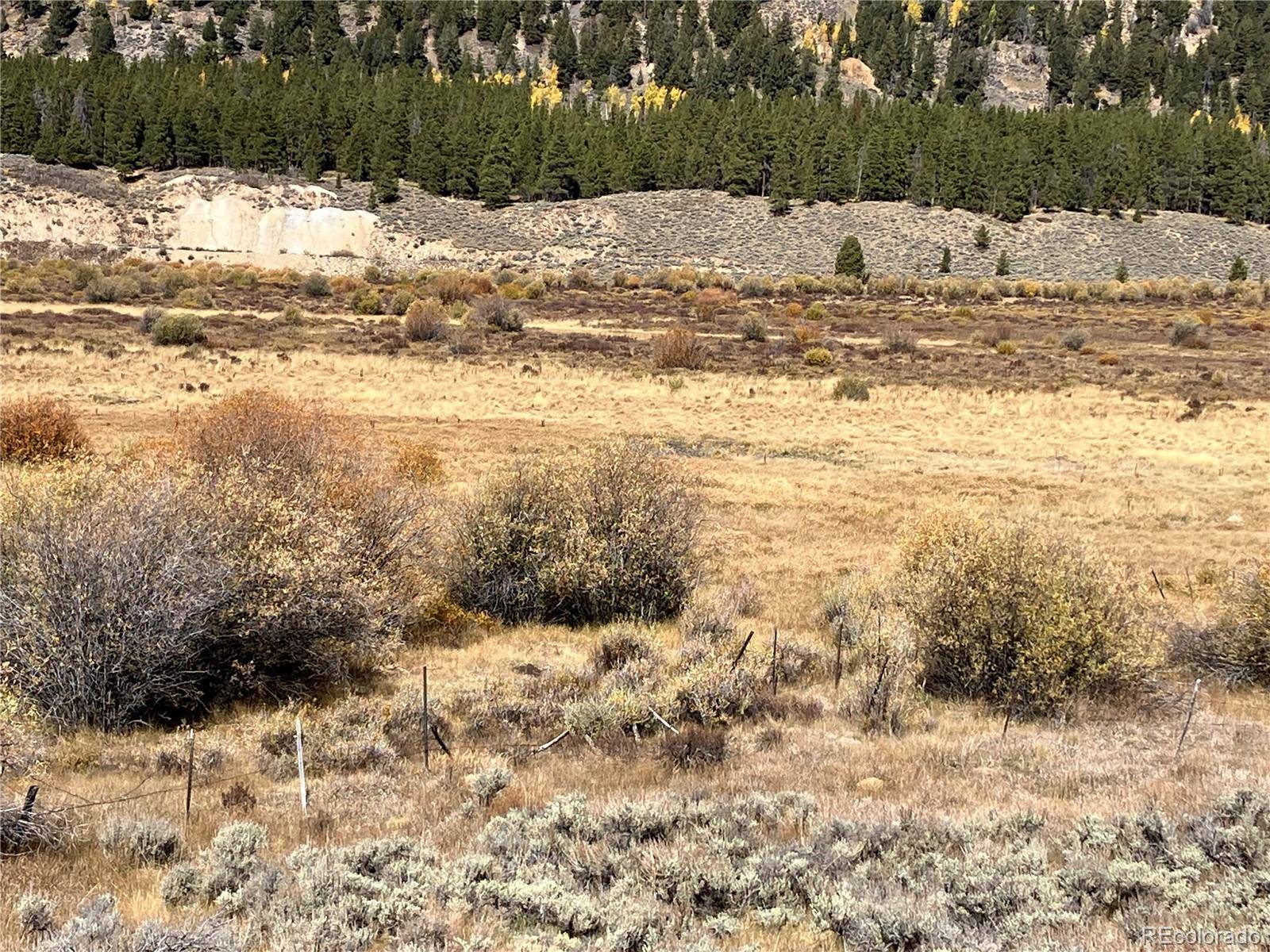 Leadville Land, Leadville, CO 80461