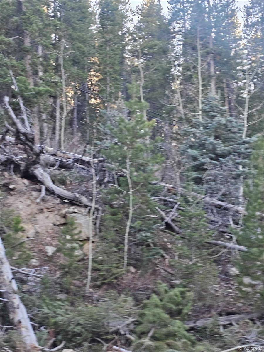 S: 35 T: 1S R: 72 W, Golden, CO 80403