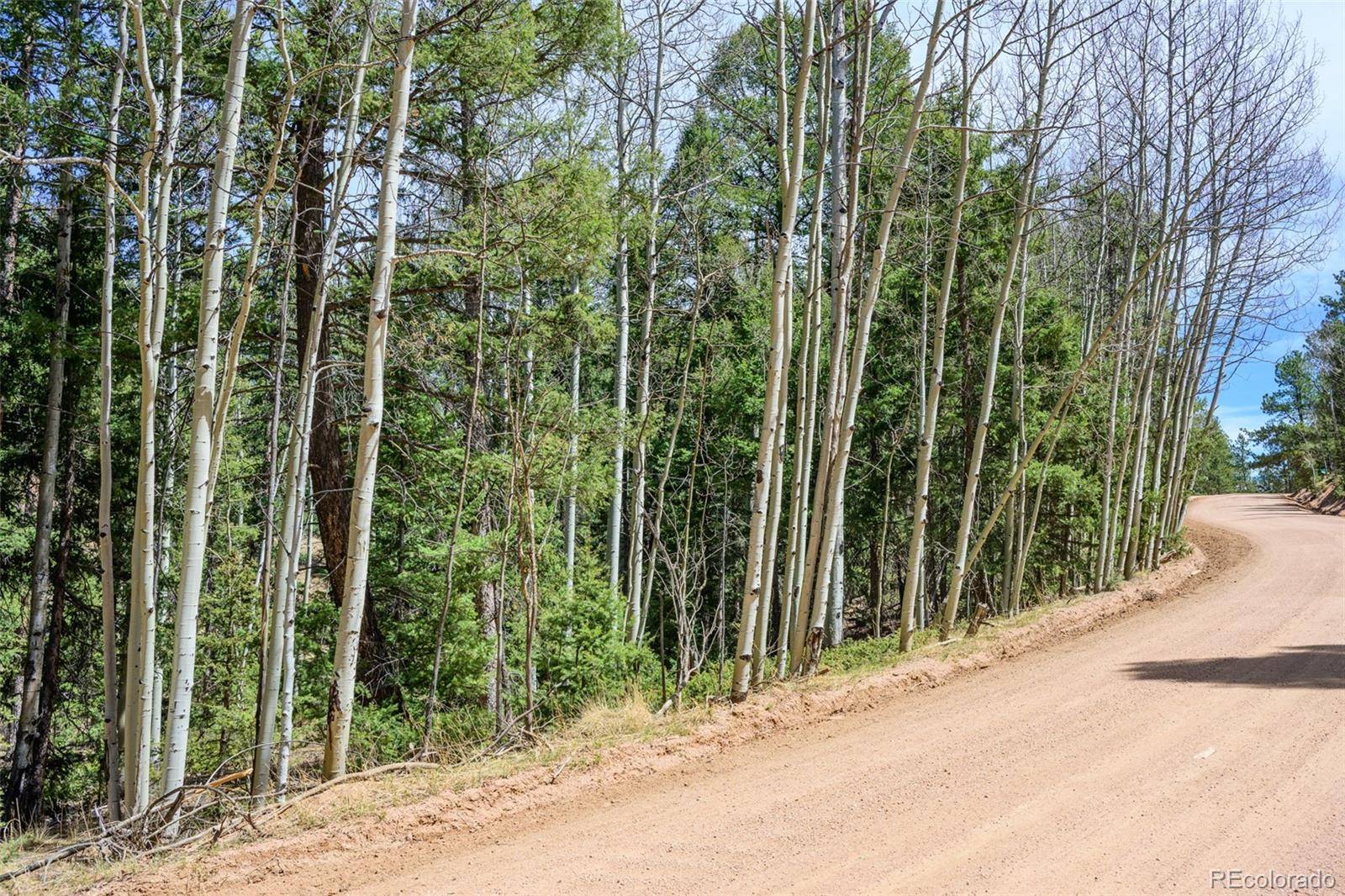 2763 N Mountain Estates RD, Florissant, CO 80816