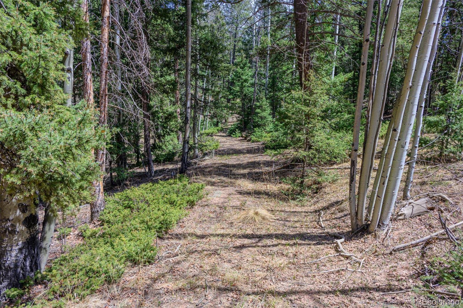 2763 N Mountain Estates RD, Florissant, CO 80816