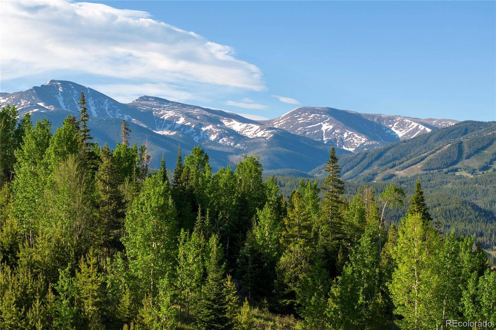 1414 Pioneer TRL, Fraser, CO 80442