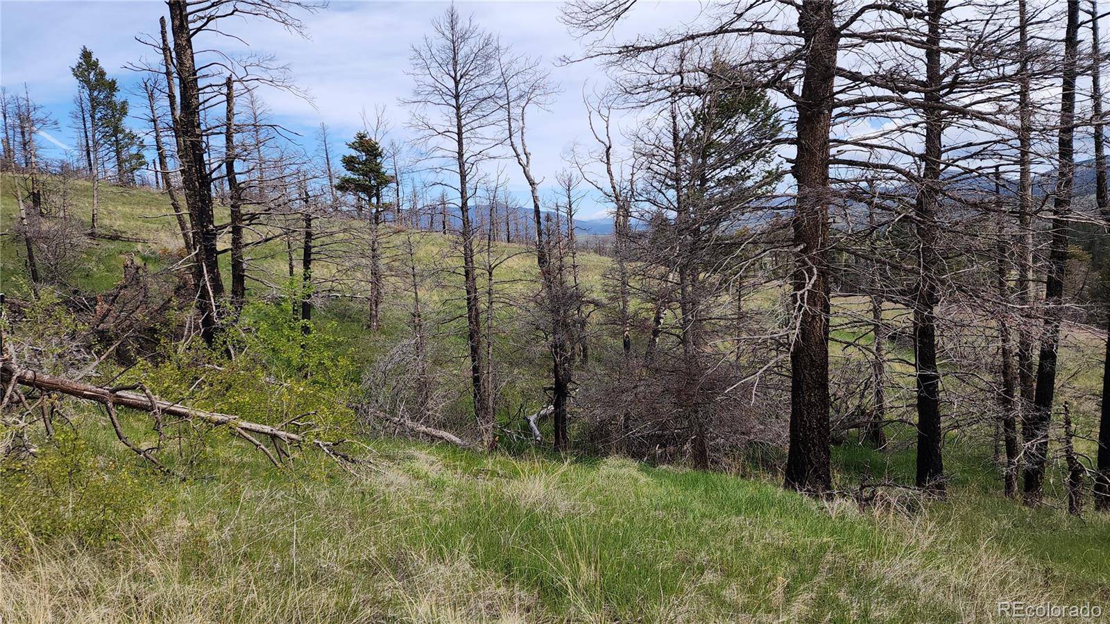 449 Duckworth DR, Fort Garland, CO 81133