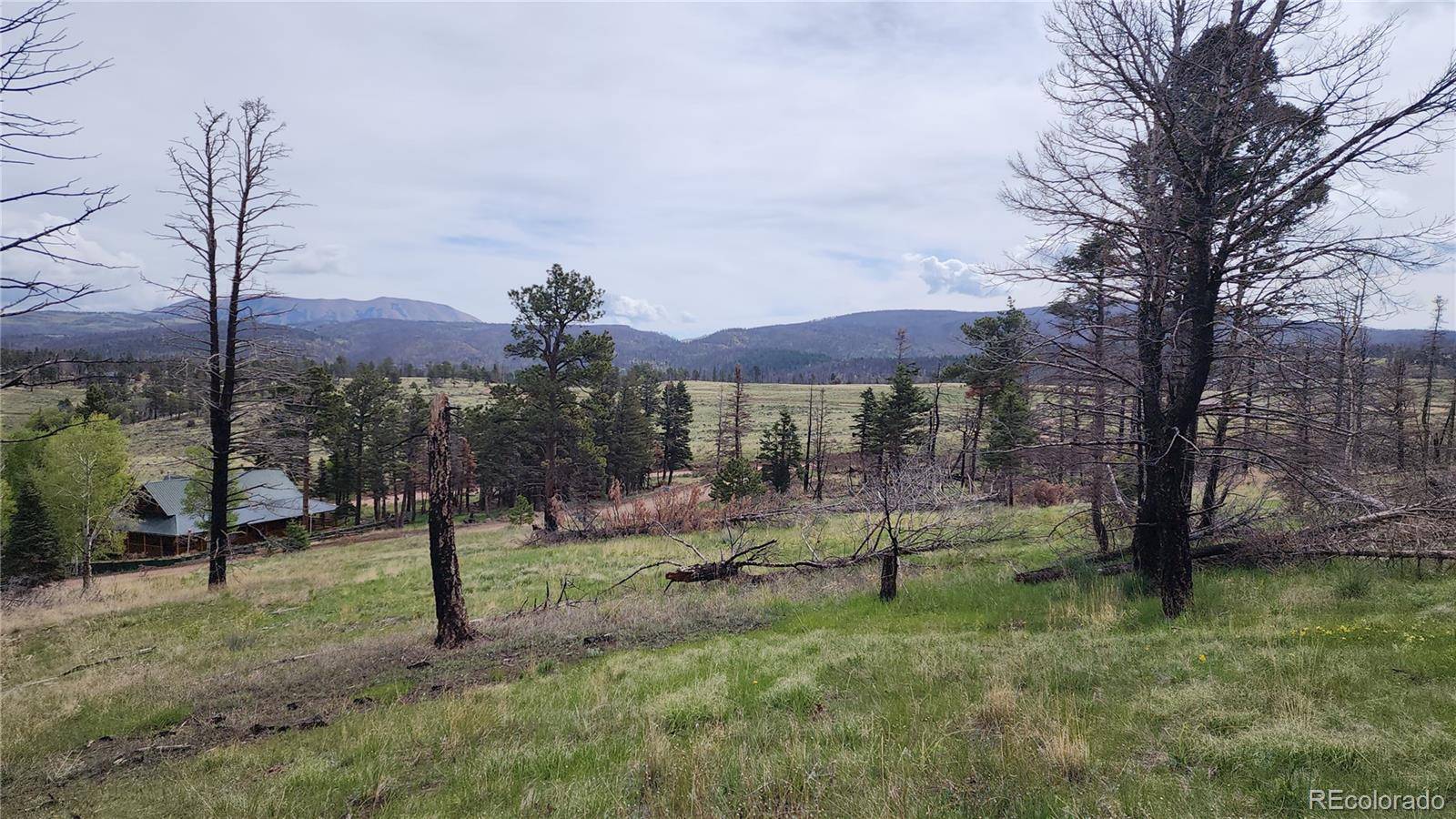 449 Duckworth DR, Fort Garland, CO 81133