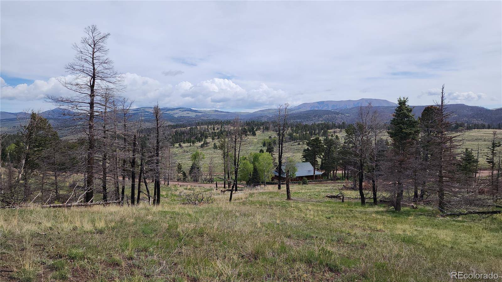 449 Duckworth DR, Fort Garland, CO 81133