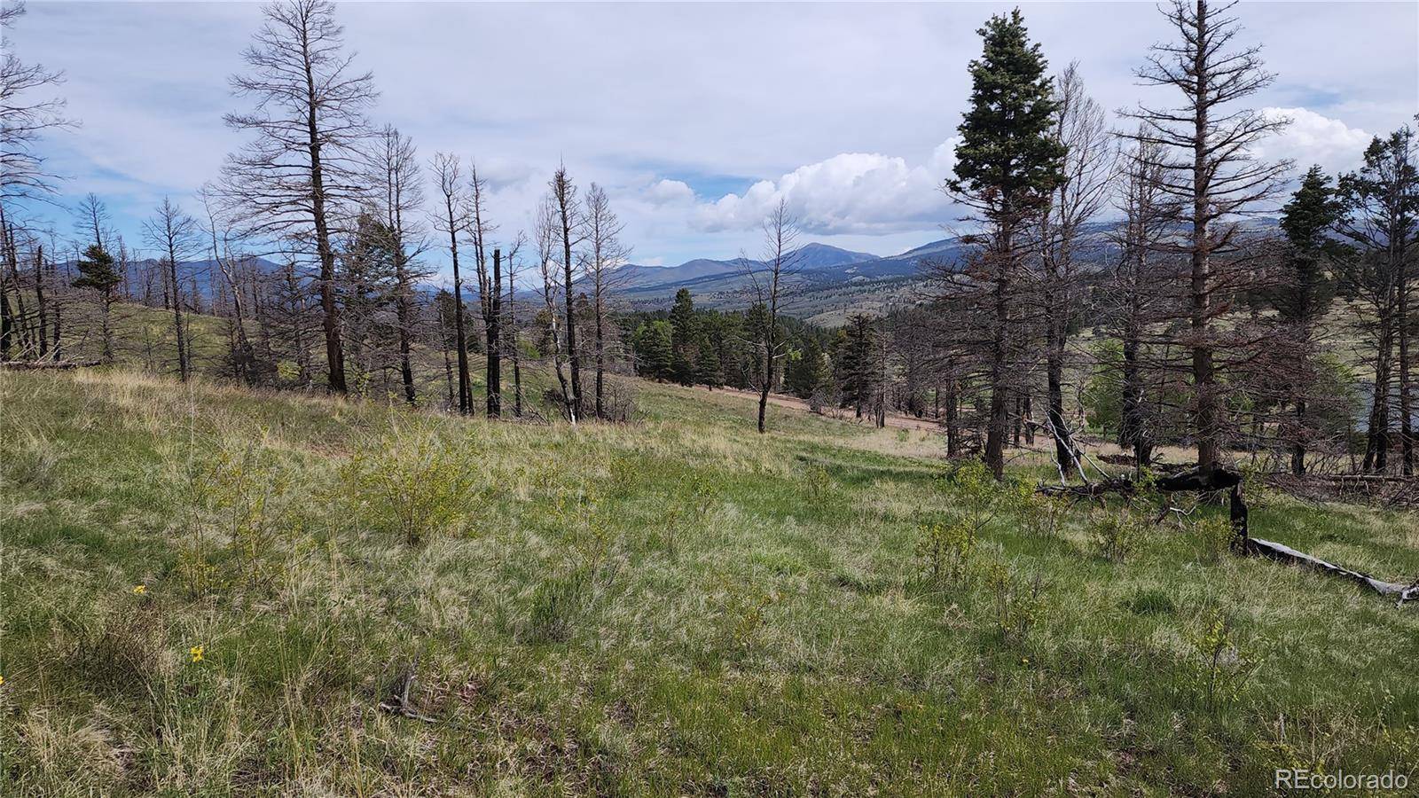 449 Duckworth DR, Fort Garland, CO 81133